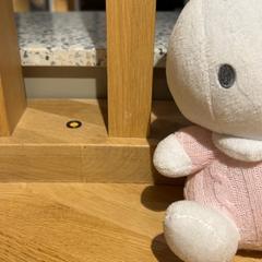 Peluche, a été signalé par Designer Outlet Roermond utilisant iLost