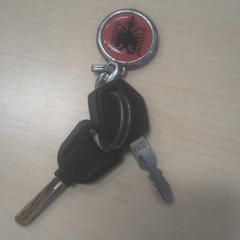 Sleutels, jak zgłoszono do iLost