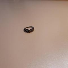 Squillo Zilver, come riportato da Faculteit Geesteswetenschappen utilizzando iLost