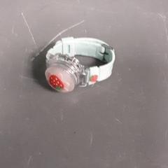 Hodinky, jak nahlášeno Diergaarde Blijdorp pomocí iLost