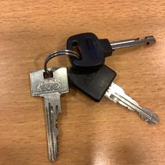 Sleutelbos, zgłoszono przez Gemeente Amsterdam przy użyciu iLost