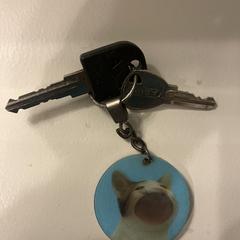 Sleutels, jak bylo nahlášeno na iLost