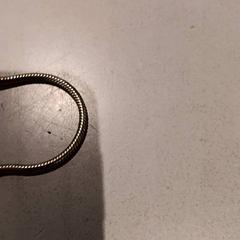 Pulseira, segundo informou De Efteling usando iLost