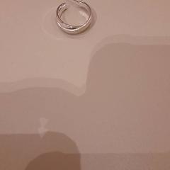 Kolczyk Zilver, zgłoszono przez Van der Valk Hotel Schiphol przy użyciu iLost