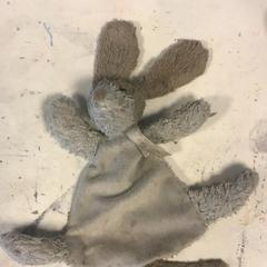 Kosete leke, som rapportert av Artis ved bruk av iLost