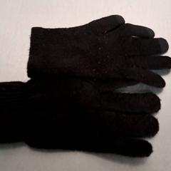 Luvas, segundo informou Keolis Lund usando iLost