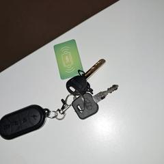 Sleutelbos, amint azt az iLostnak jelentették.