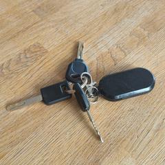 Sleutelbos, amint azt az iLostnak jelentették.