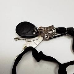 Clau, segons ha informat ilévia mitjançant iLost