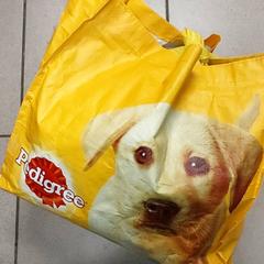 Taška - Draagtas, jak nahlášeno Regio Antwerpen - Brussel pomocí iLost