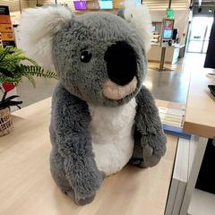 İLost kullanarak IKEA Mulhouse tarafından bildirildiği gibi Sevimli oyuncak & Sevimli tokat Koala gris