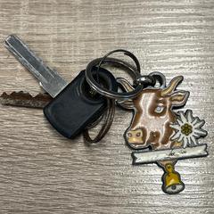 Clé | Autotron, a été signalé par Libéma Beurzen en Evenementen utilisant iLost