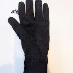 Rękawica zwart, zgłoszono przez Rijksmuseum van Oudheden przy użyciu iLost