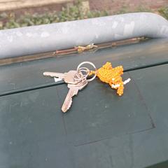 Sleutels Keys an iLost gemeldet