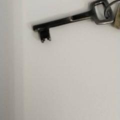 Llave, ha sido reportado por Centraal magazijn con iLost