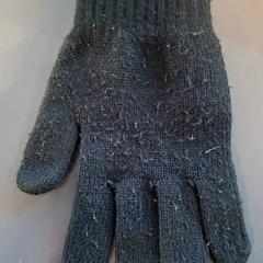 قفاز Zwart، كما تم الإبلاغ عنه بواسطة Burgers' Zoo عبر iLost