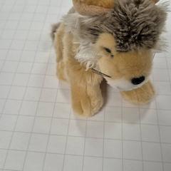 Knuffelbeest, zoals gemeld door Pathé Leeuwarden met iLost