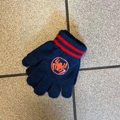 Luvas, segundo informou Regio Oost-Vlaanderen usando iLost