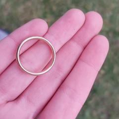 Gouden Ring, jak bylo nahlášeno na iLost