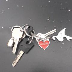 Clé Zie foto, a été signalé par Qbuzz servicepunt  Emmen utilisant iLost