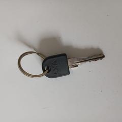 Axa Fiets sleutel (BEST KEPT SECRET), segundo informou Best Kept Secret 2025 usando iLost