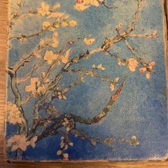 Kobo, jak nahlášeno Pouw Vervoer pomocí iLost