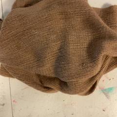 شال Bruin، كما تم الإبلاغ عنه بواسطة Artis عبر iLost