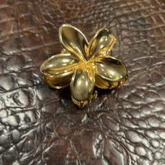 Spona do vlasů, jak nahlášeno Van der Valk Hotel Houten pomocí iLost