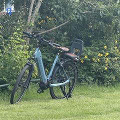 Blauwe electrische fiets, como reportado ao iLost
