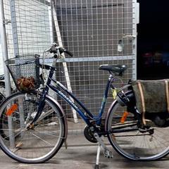 Vélo Gazelle Blauw, a été signalé par Fietsdepot Hasselt utilisant iLost