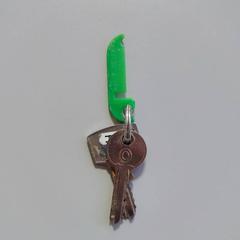 Nøkler groene halve badge, som rapportert av Regio Limburg - Leuven ved bruk av iLost