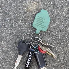 Sleutelbos met usb stick, iLost에 보고됨