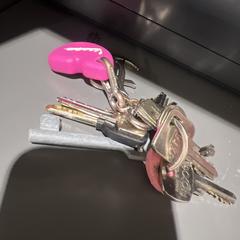 Sleutel bos gevoed., jak bylo nahlášeno na iLost