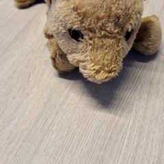 Peluix, segons ha informat Gemeente Baarn mitjançant iLost