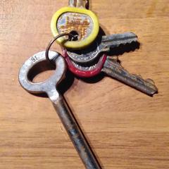 Sleutelbos, come riportato a iLost