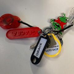 Keys, as reported by Regio Oost-Vlaanderen using iLost