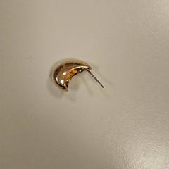 Arracada, segons ha informat Vrije Universiteit Amsterdam mitjançant iLost