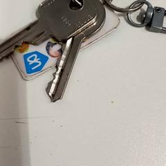 Nyckelring, rapporterat av allGo Almere med iLost