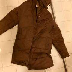 Jacka Bruin, rapporterat av Arriva Limburg Noord med iLost