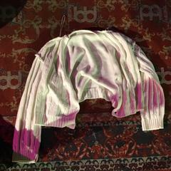 İLost kullanarak De Heeren van Aemstel tarafından bildirildiği gibi Wit vestje