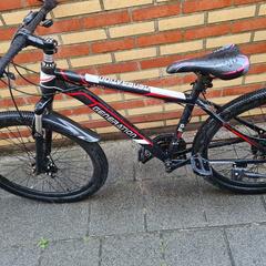 Fiets, as reported to iLost