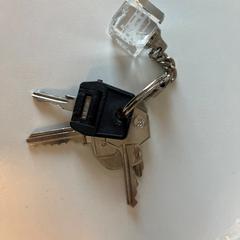 سلسلة المفاتيح، كما تم الإبلاغ عنه بواسطة Gemeente Noordwijk عبر iLost