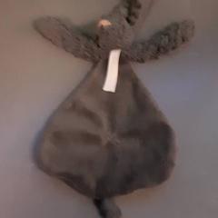 Cudowny policzek, zgłoszono przez Diergaarde Blijdorp przy użyciu iLost