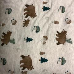 Dekentje, som rapportert av Artis ved bruk av iLost