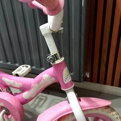 Bicicleta, segons ha informat allGo Almere mitjançant iLost