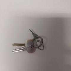 Clés, a été signalé par IKEA Hengelo utilisant iLost