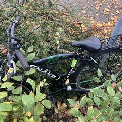 kinderfiets batavus snake 26 inch, as reported to iLost