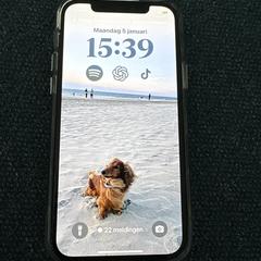 Telefoon Iphone, amint azt az iLostnak jelentették.