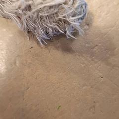 Knuffel, as reported by Avonturenboerderij Molenwaard using iLost