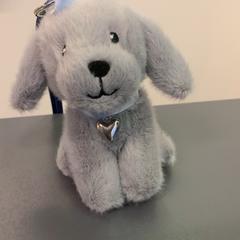 Knuffel, zoals gemeld door Eindhoven Airport met iLost